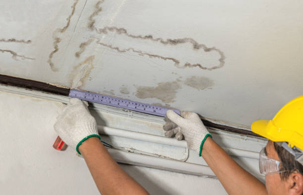 Reliable Water Damage Repair contractor in Wyandotte, MI by Hirex Water Damage